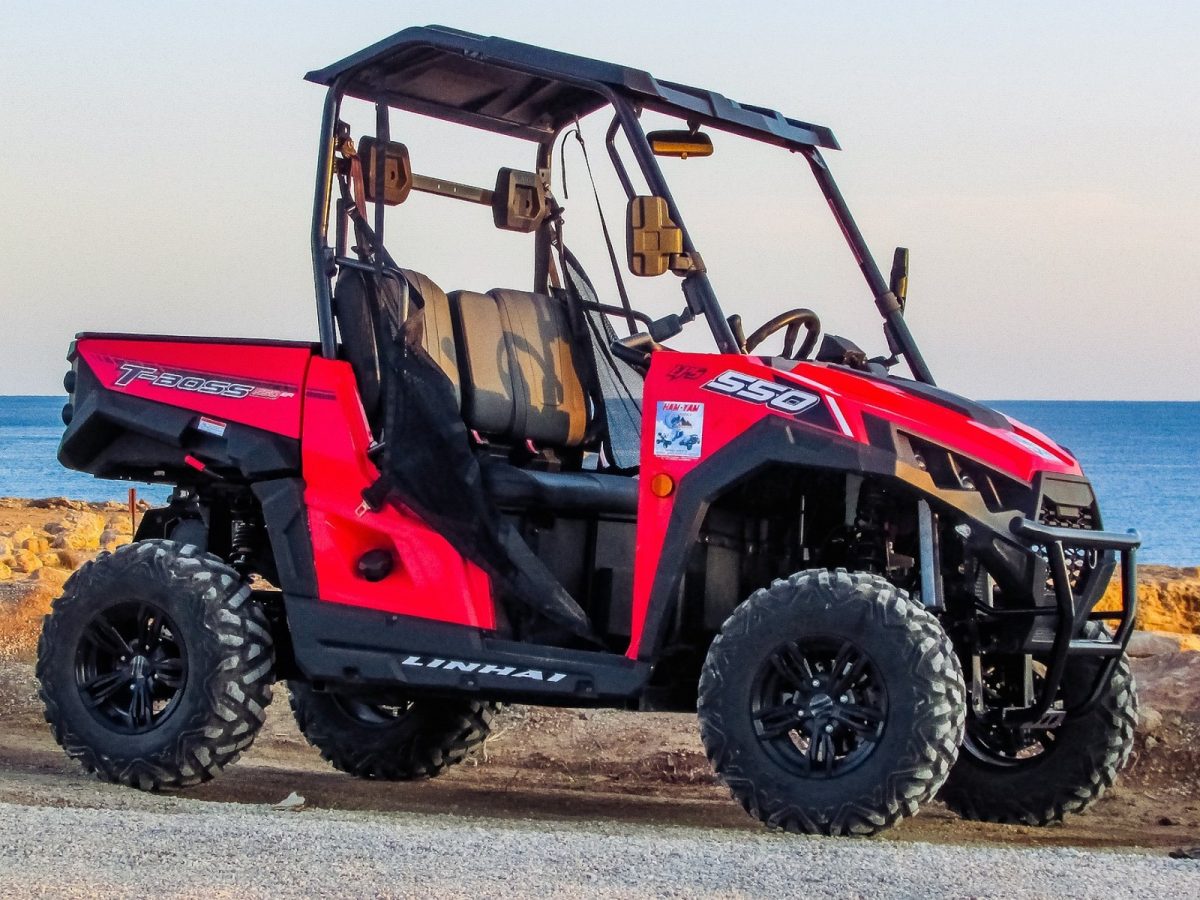 Buggy 1
